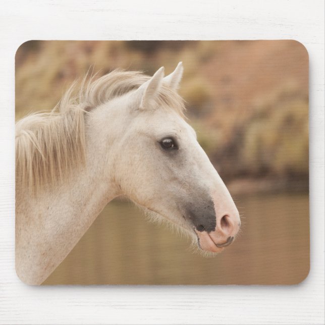 Mousepad Cavalo selvagem branco (Frente)