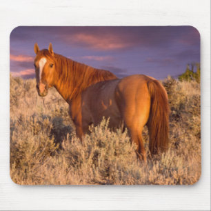 Mousepad Cavalo selvagem do Condado de Harney permanece ale