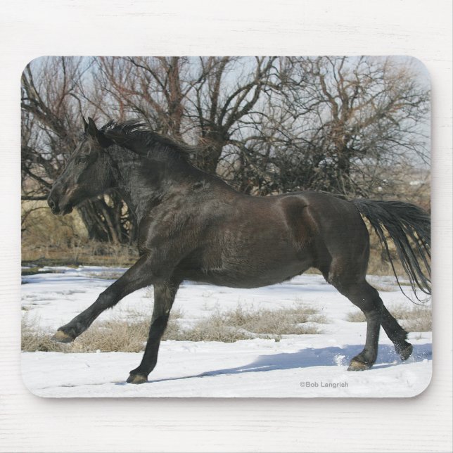 Mousepad Cavalo selvagem do mustang na neve 2 (Frente)