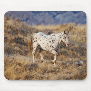 Mousepad Cavalo Vagueando pelas Colinas Cênicas do Big Horn