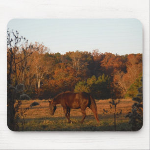 Mousepad Cavalo Vermelho Brown, bosque de outono.