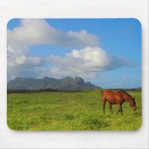 Cavalo Vista de Kauai