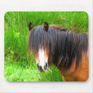 MOUSEPAD CAVALOS