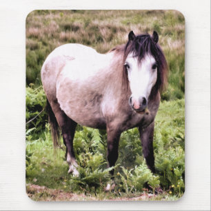 MOUSEPAD CAVALOS