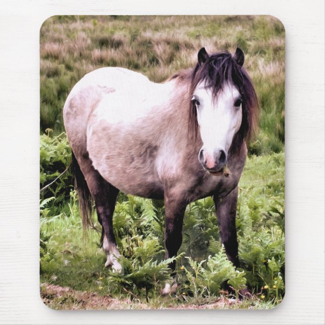 MOUSEPAD CAVALOS (Frente)