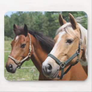Mousepad Cavalos