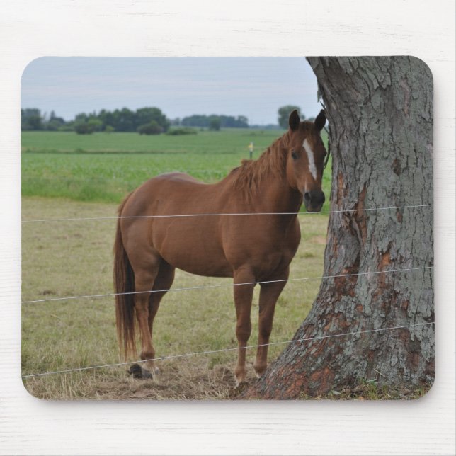 Mousepad Cavalos (Frente)