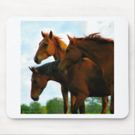 Mousepad Cavalos