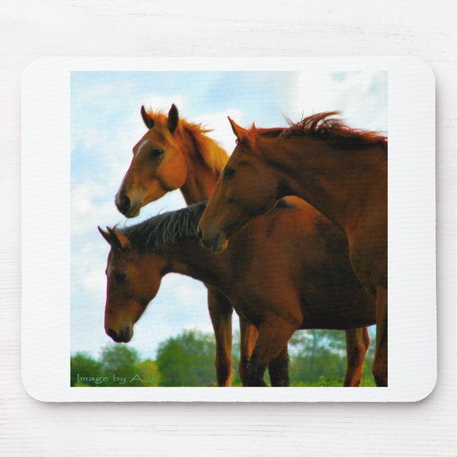 Mousepad Cavalos (Frente)