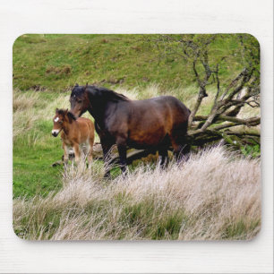 MOUSEPAD CAVALOS