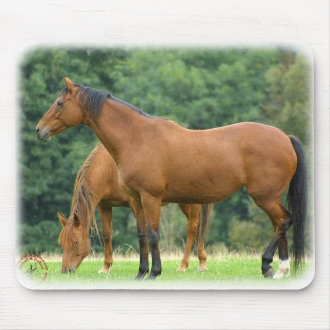 Mousepad Cavalos 9A81D-10 (Frente)