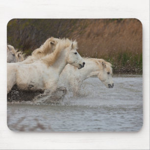 Mousepad Cavalos Brancos da Camargue Correndo na Água