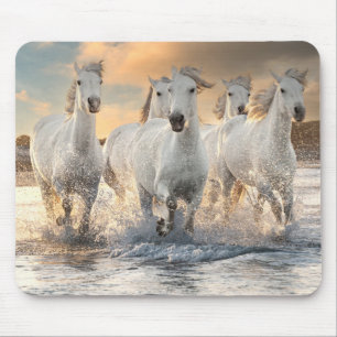 Mousepad Cavalos Brancos Selvagens
