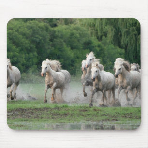 Mousepad Cavalos Camargue Correndo na Água