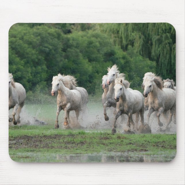 Mousepad Cavalos Camargue Correndo na Água (Frente)
