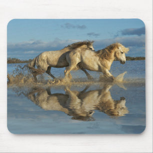 Mousepad Cavalos Camargue e Reflexo, sul da França