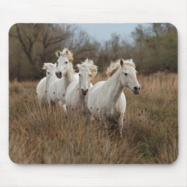 Mousepad Cavalos Camargue em corrida (Frente)