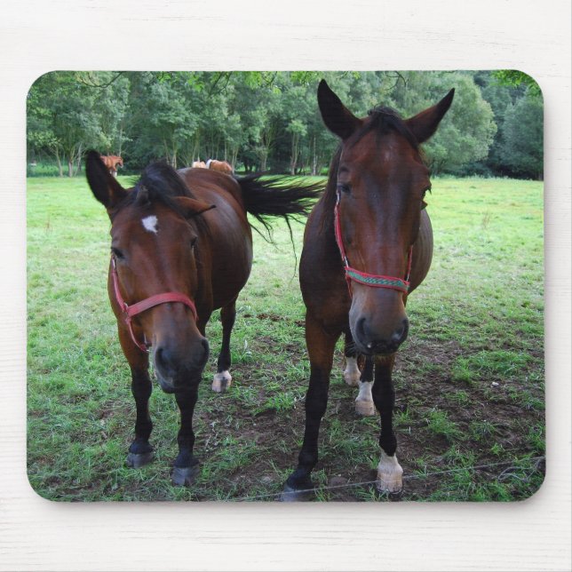 Mousepad Cavalos castanhos escuros no pasto (Frente)
