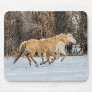 Mousepad Cavalos correndo na neve