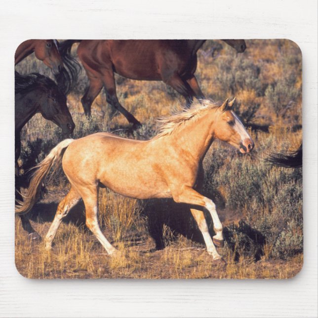 Mousepad Cavalos correndo uma Fazenda Ponderosa (Frente)