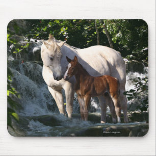 Mousepad Cavalos da fantasia: Cachoeira