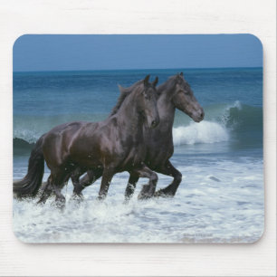 Mousepad Cavalos da fantasia: Frisões & mar