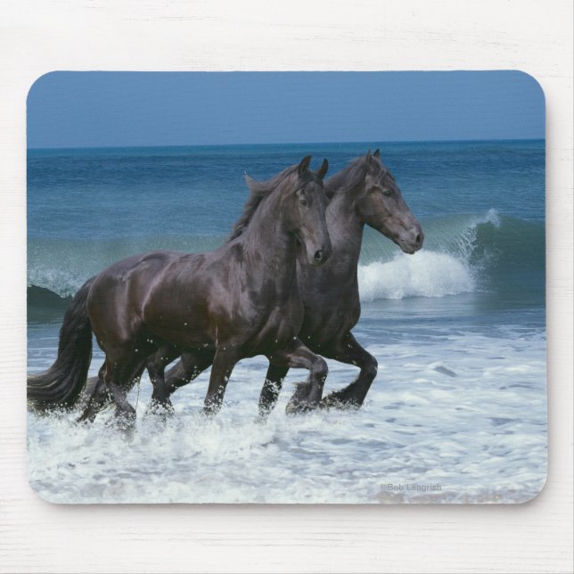 Mousepad Cavalos da fantasia: Frisões & mar (Frente)