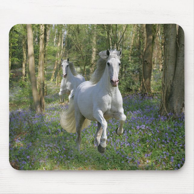 Mousepad Cavalos da fantasia: Madeira do Bluebell (Frente)