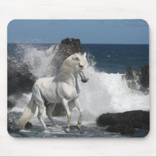 Mousepad Cavalos da fantasia: Mares do sul