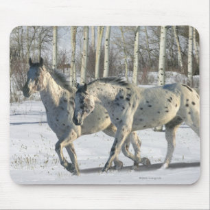 Mousepad Cavalos da fantasia: País das maravilhas do