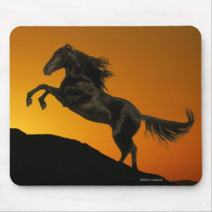 Mousepad Cavalos da fantasia: Por do sol da montanha