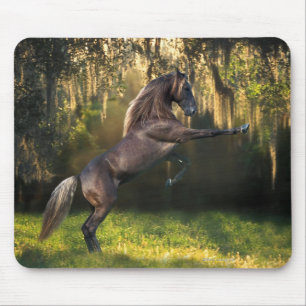 Mousepad Cavalos da fantasia: Príncipe do guerreiro