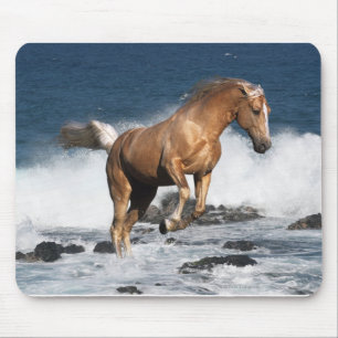 Mousepad Cavalos da fantasia: Respingo do verão