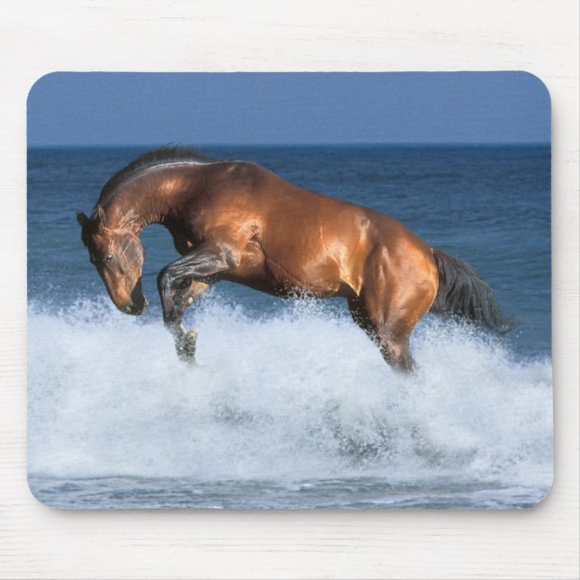 Mousepad Cavalos da fantasia: Selle Francais & mar (Frente)