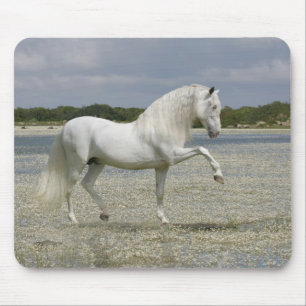 Mousepad Cavalos da fantasia: Senhor do lago