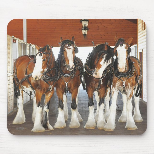 Mousepad Cavalos de esboço de Clydesdale no celeiro (Frente)