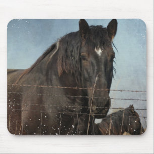 Mousepad Cavalos de esboço em um pasto