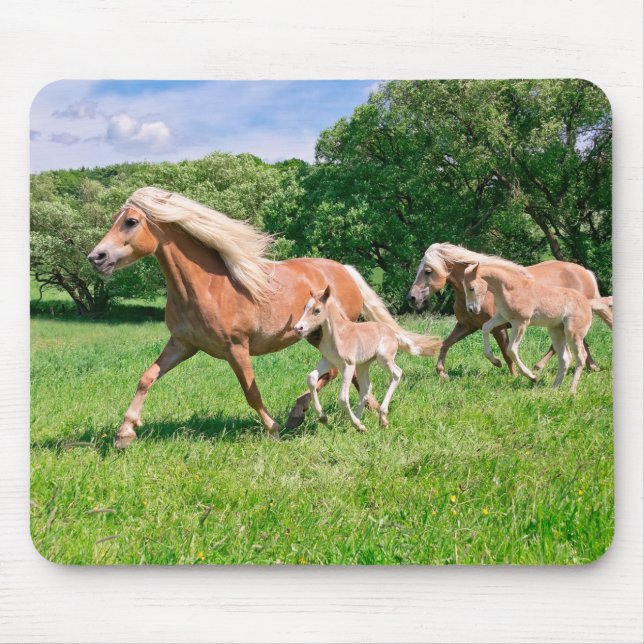 Mousepad Cavalos de Haflinger com Pés Bonitos Rodam Foto En (Frente)