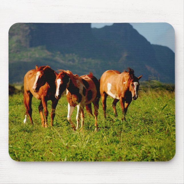 Mousepad Cavalos de Kauai (Frente)
