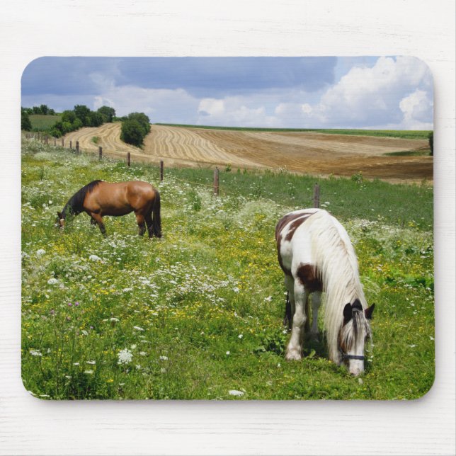 Mousepad Cavalos de pasto (Frente)