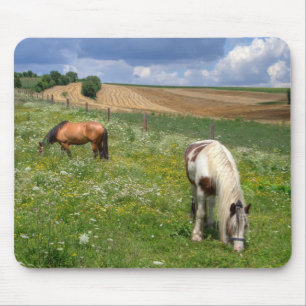 Mousepad Cavalos de Raiva