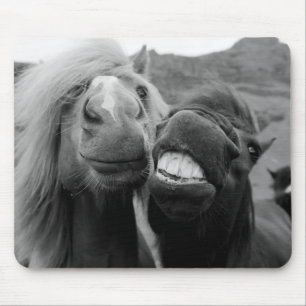 Mousepad Cavalos de sorriso das imagens de Getty