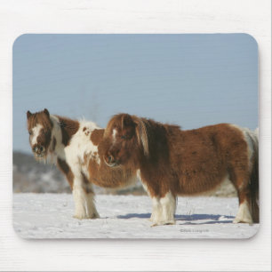 Mousepad Cavalos diminutos que estão na neve