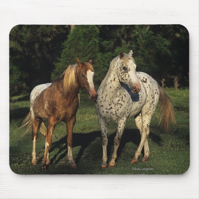 Mousepad Cavalos do Appaloosa (Frente)