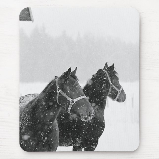 Mousepad Cavalos em neve (Frente)
