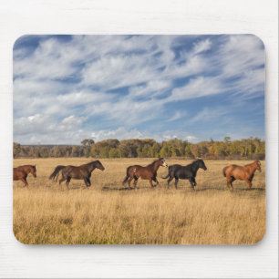 Mousepad Cavalos Fora do Parque Nacional Grand Teton