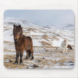 Mousepad Cavalos Islandeses no Inverno