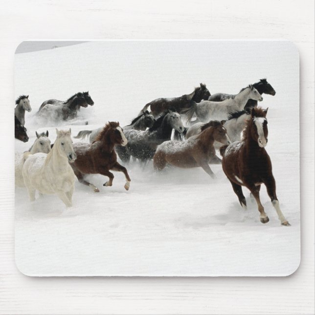 Mousepad Cavalos na neve (Frente)