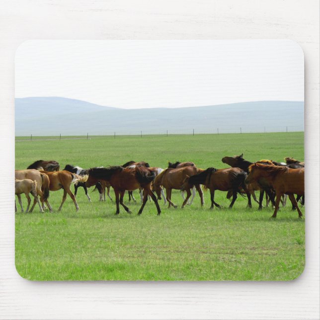 Mousepad Cavalos na Pastura - Fotografia Paisagem (Frente)