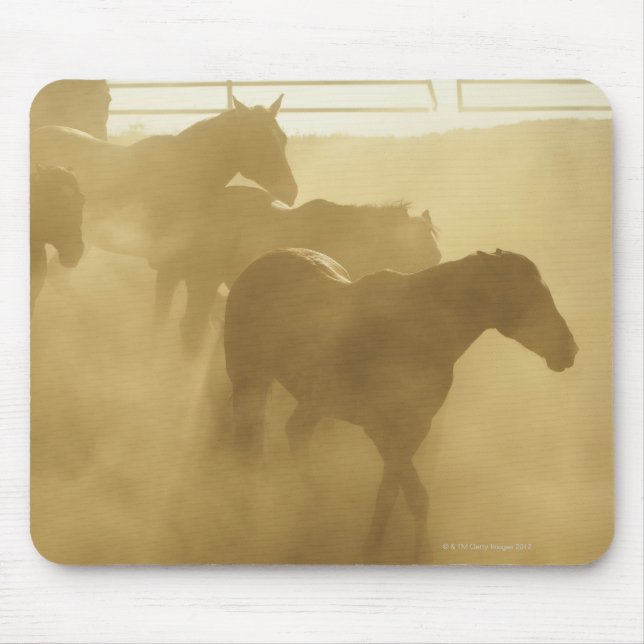Mousepad Cavalos no curral (Frente)